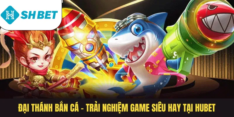 Banner www.roiloannoitiet.vn