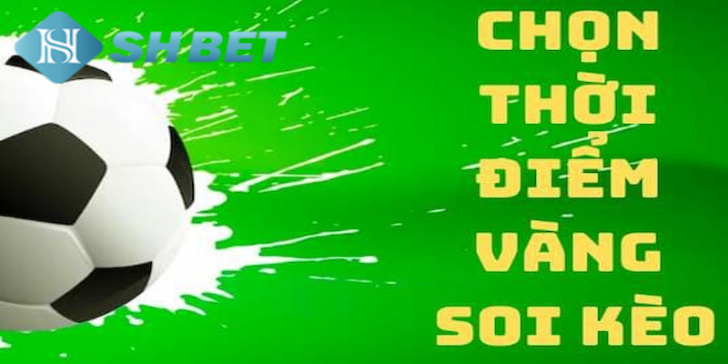 Banner www.roiloannoitiet.vn