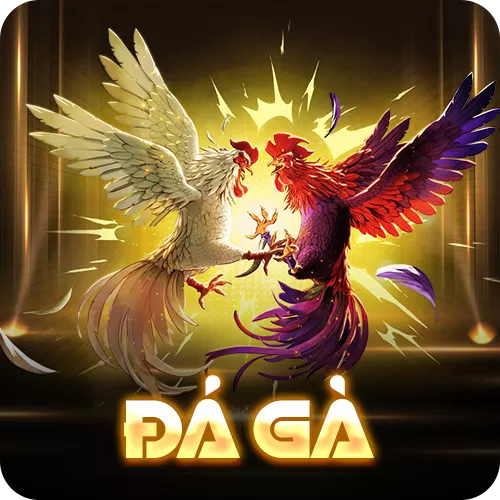 Banner www.roiloannoitiet.vn