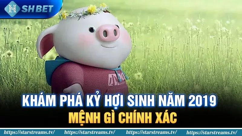 Banner www.roiloannoitiet.vn