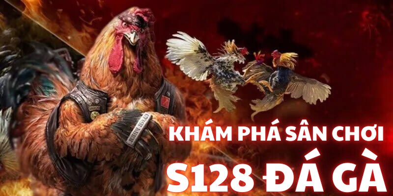 Banner www.roiloannoitiet.vn