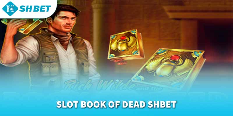 Banner www.roiloannoitiet.vn