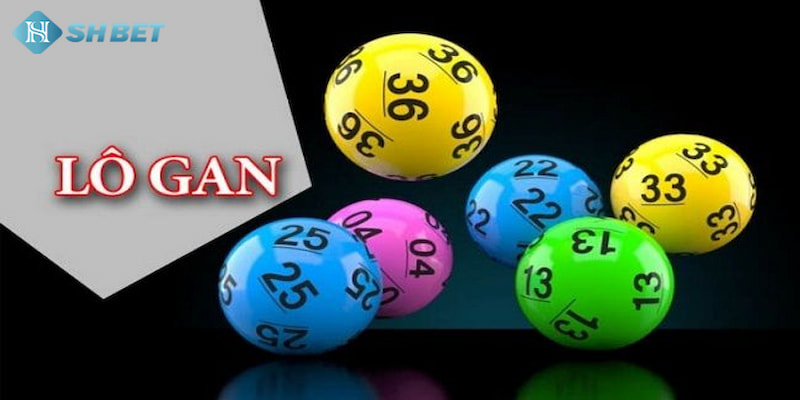 Banner www.roiloannoitiet.vn